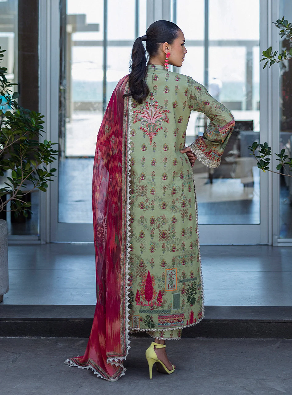 Zaira - Image 3
